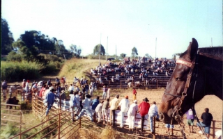 'Encontro de cavaleiros e montarias no Parque de Exposições de Campos Altos década de 90