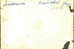 Acervo Fotográfico da Secretaria de Cultura de Campos Altos