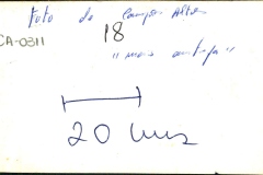 Acervo Fotográfico da Secretaria de Cultura de Campos Altos