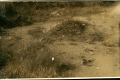 Acervo Fotográfico da Secretaria de Cultura de Campos Altos