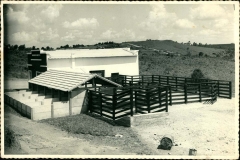 Acervo Fotográfico da Secretaria de Cultura de Campos Altos