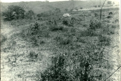 Acervo Fotográfico da Secretaria de Cultura de Campos Altos