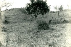 Acervo Fotográfico da Secretaria de Cultura de Campos Altos