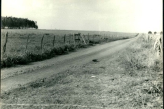 Acervo Fotográfico da Secretaria de Cultura de Campos Altos
