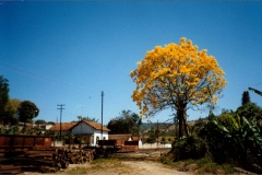 Acervo Fotográfico da Secretaria de Cultura de Campos Altos