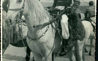 José Vitor a cavalo, vendo-se outros cavaleiros de costas. 1970 a 1979